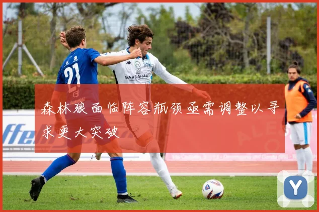 森林狼面临阵容瓶颈亟需调整以寻求更大突破