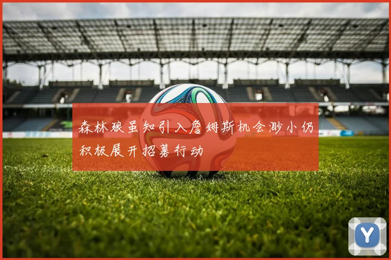 森林狼虽知引入詹姆斯机会渺小仍积极展开招募行动