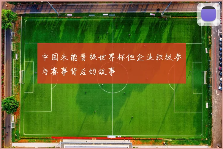 中国未能晋级世界杯但企业积极参与赛事背后的故事